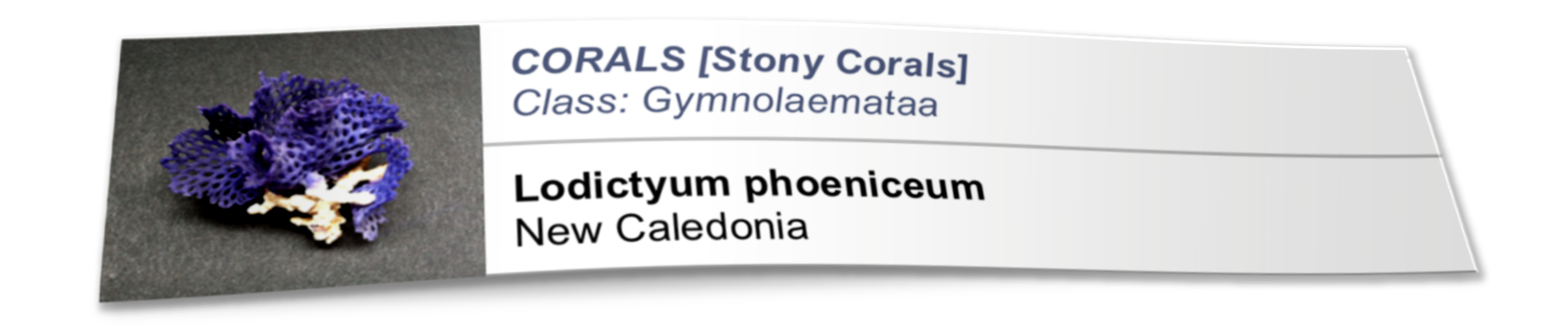 label