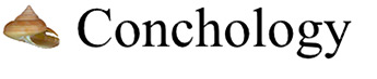Chonchology.be